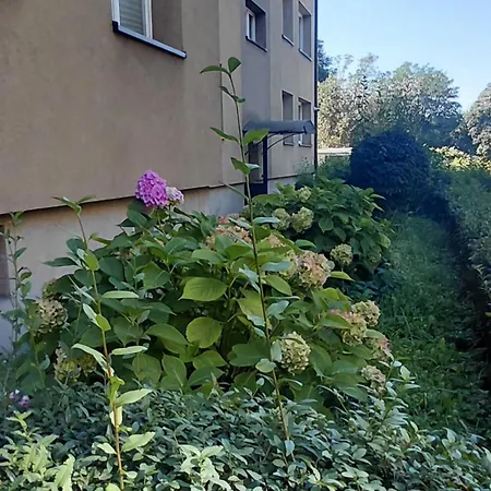 Early Spring Apartmán